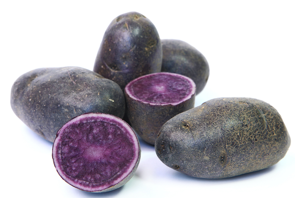Adirondack Blue Seed PotatoesFor Planting Growing Purple Potato Seed for 2021