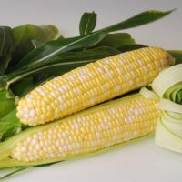 Sweetness corn