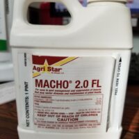 macho pest insect management