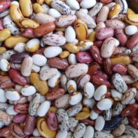 Beans, Dry Shell Varieties
